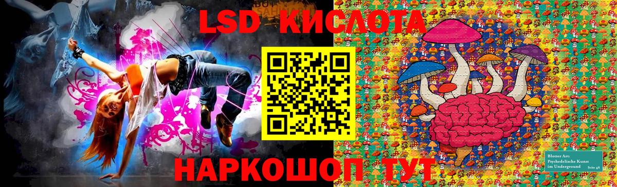 Наркотические марки 1,5мг  Вход с VPN  Котовск  Наркотические марки 1,5мг 